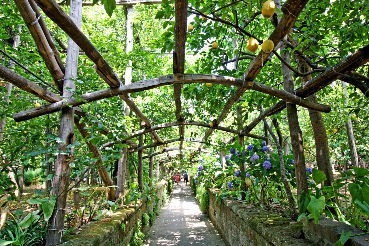 I Giardini Di Cataldo Sorrento Βίλα Εξωτερικό φωτογραφία