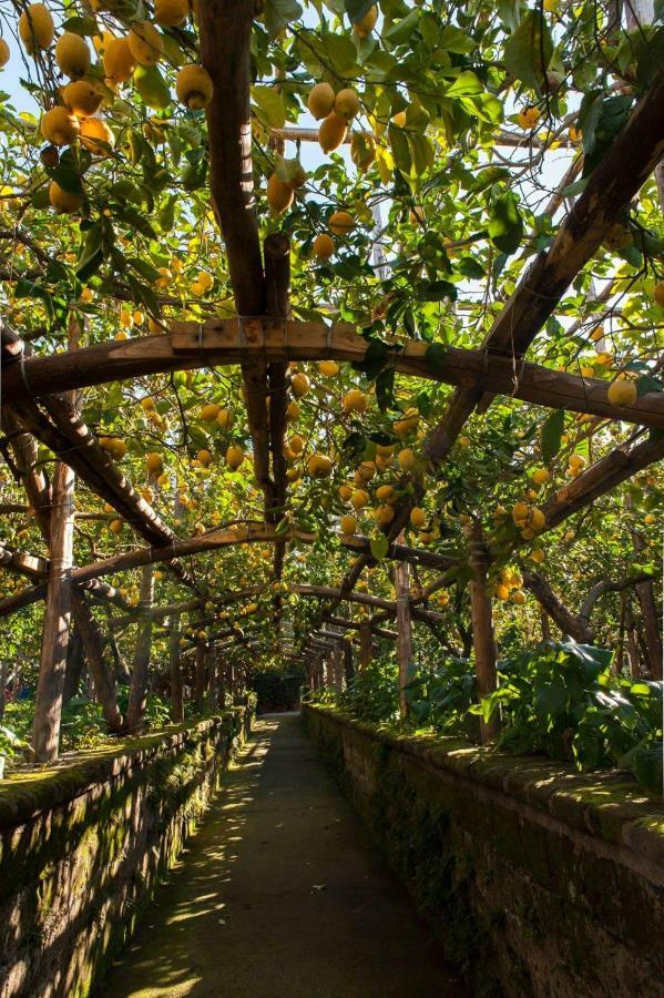 I Giardini Di Cataldo Sorrento Βίλα Εξωτερικό φωτογραφία